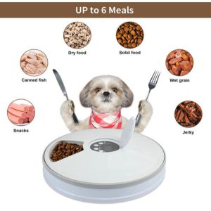 Automatic 6 Day Meal Timed Pet Dog Cat Feeder Food Bowl Auto Holiday Dispenser